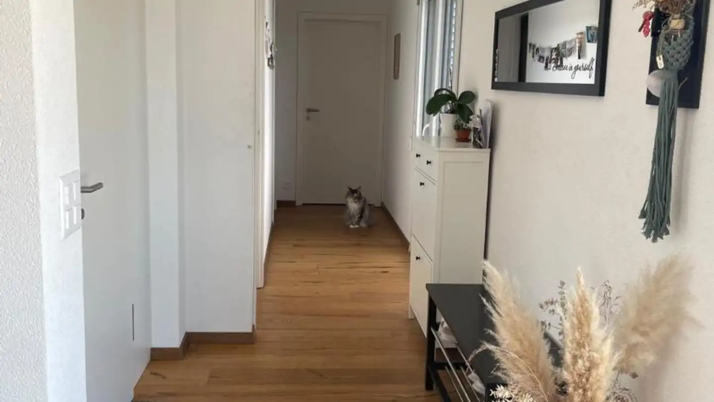 Wohnung mieten - 1580 Avenches