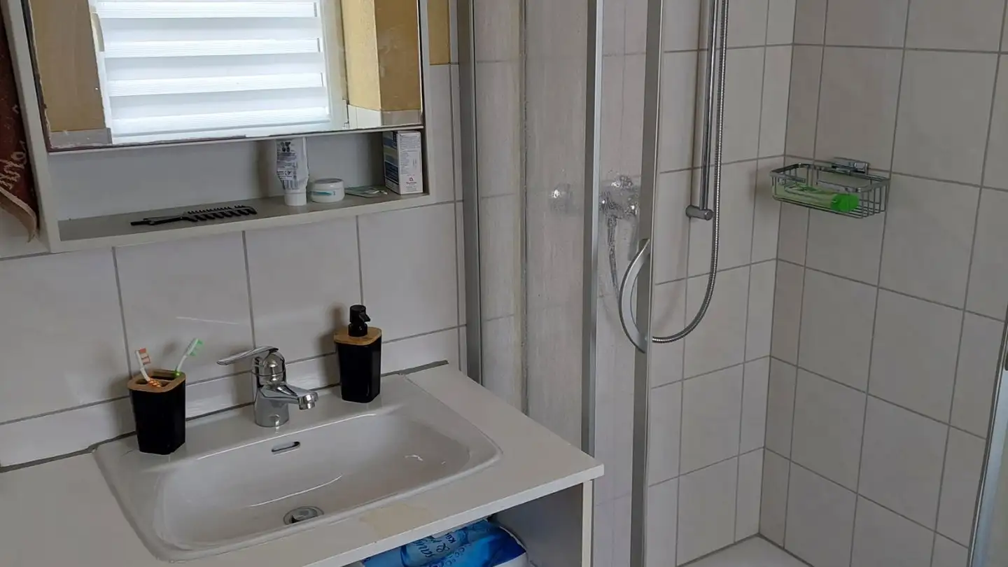 Appartamento in affitto - Bahnhofstrasse 54, 5322 Koblenz - Foto 2