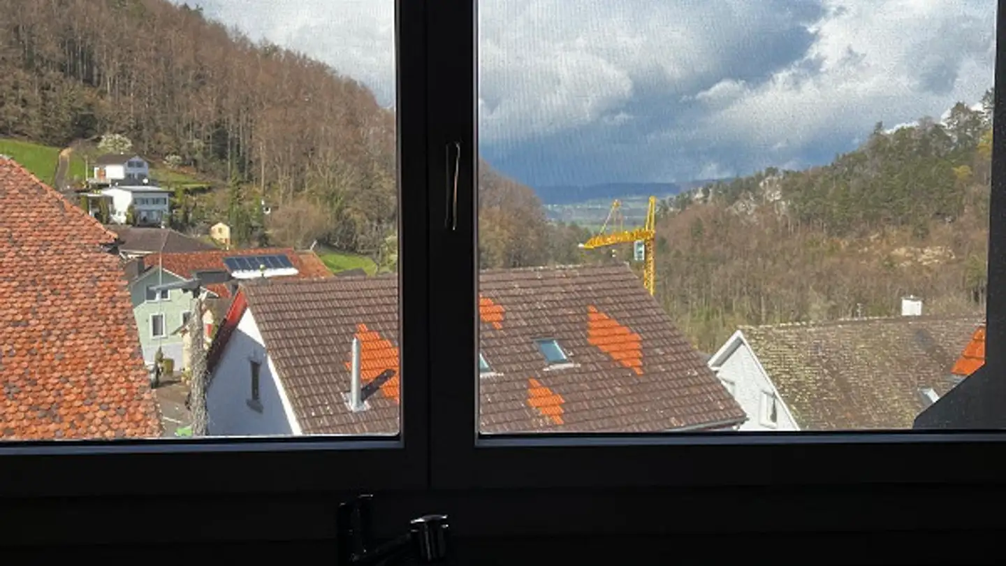 Penthouse for rent - Hauptstrasse 13, 4247 Grindel - Photo 4