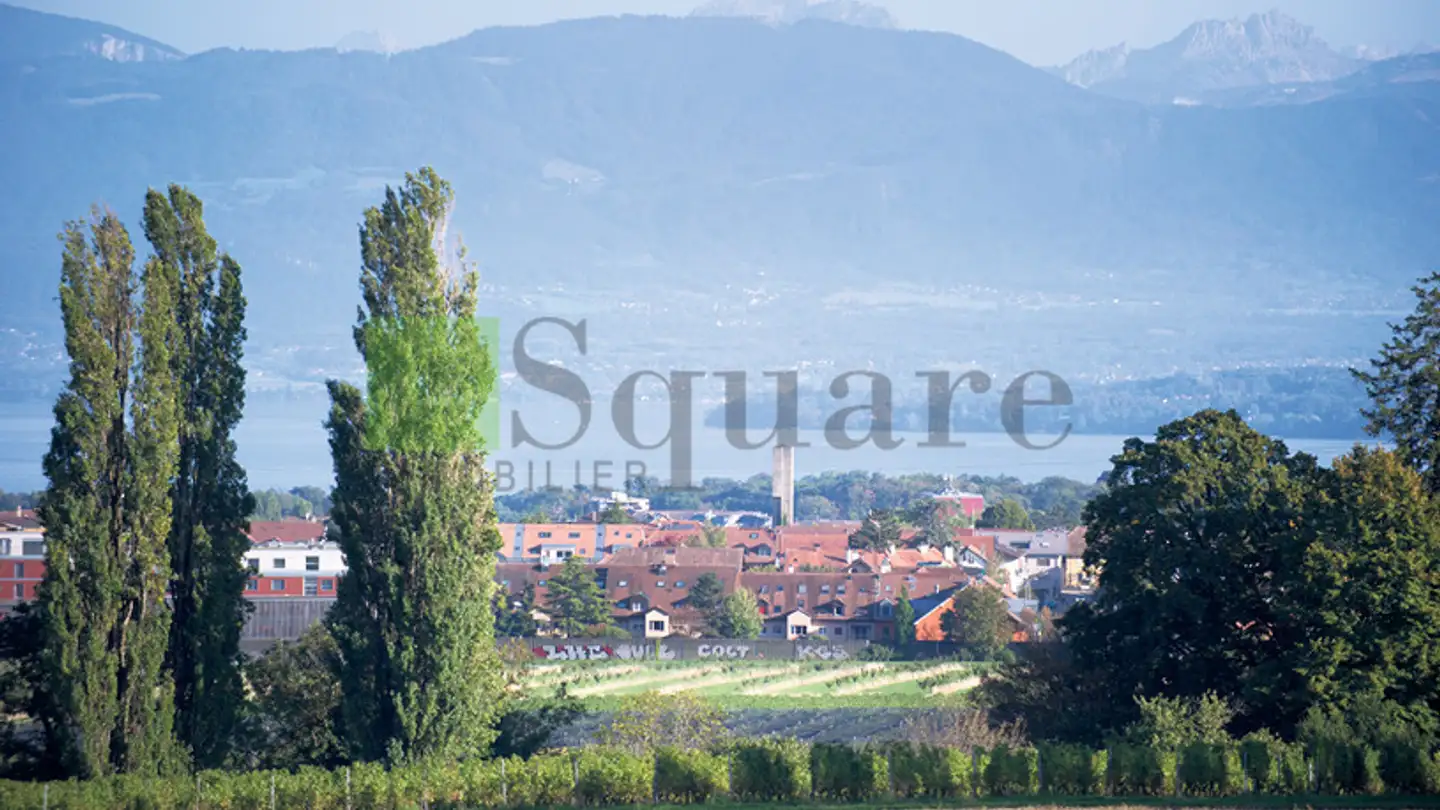 Commercial for sale - Rue de l'Abbaye 1196, 1196 Gland