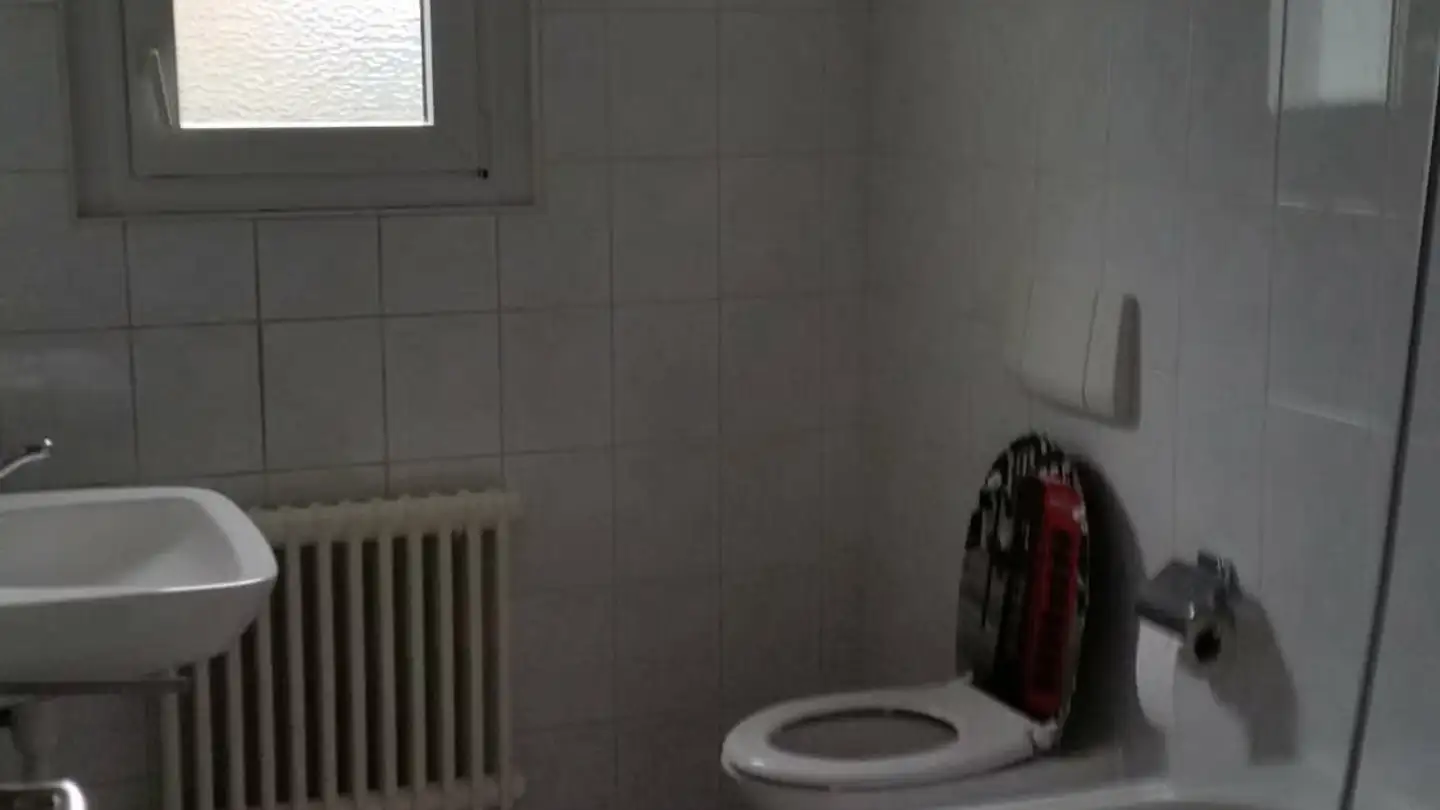 Appartamento in affitto - Rue Du Lac, 1020 Renens VD