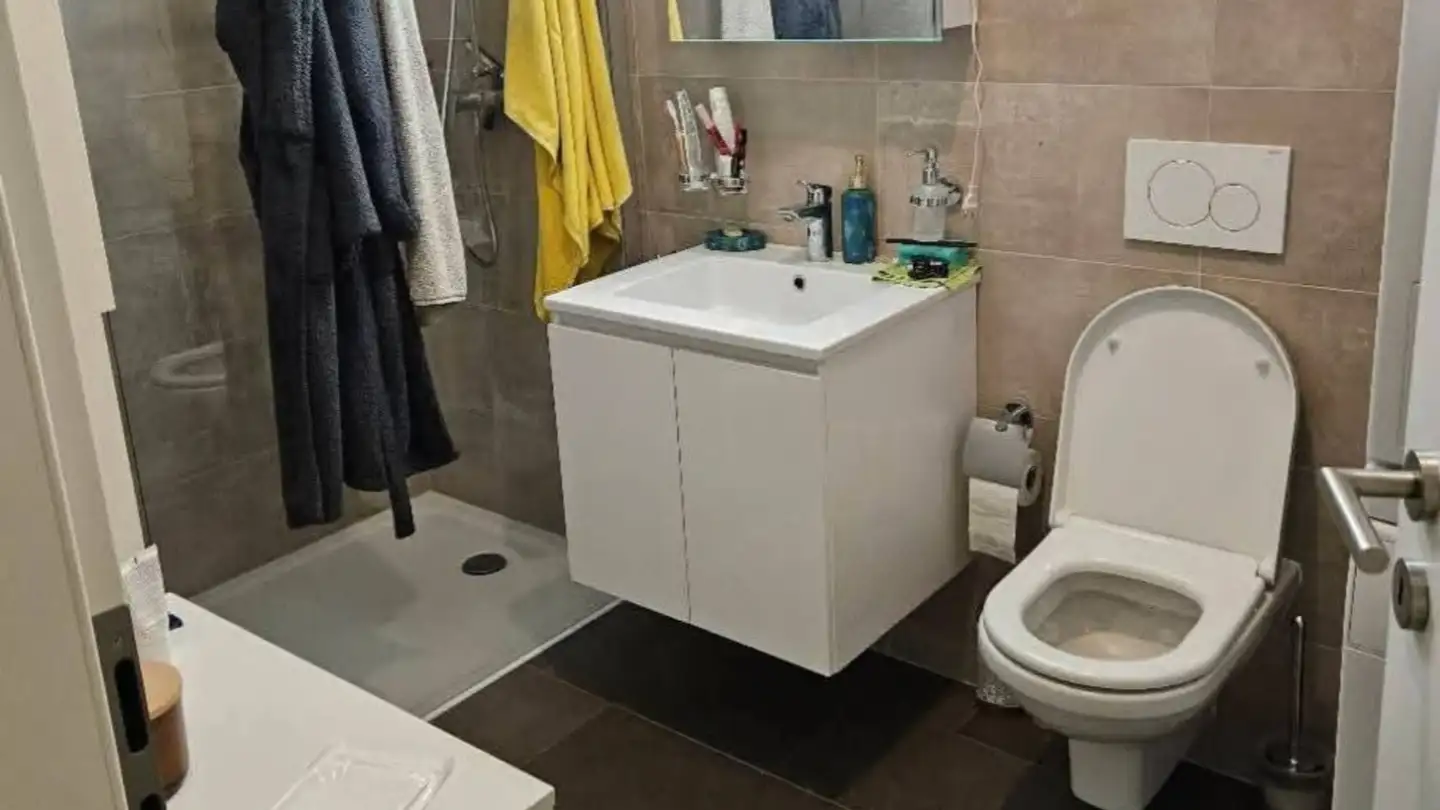 Appartamento in affitto - Rue De La Baumettaz 1a, 1023 Crissier - Foto 2