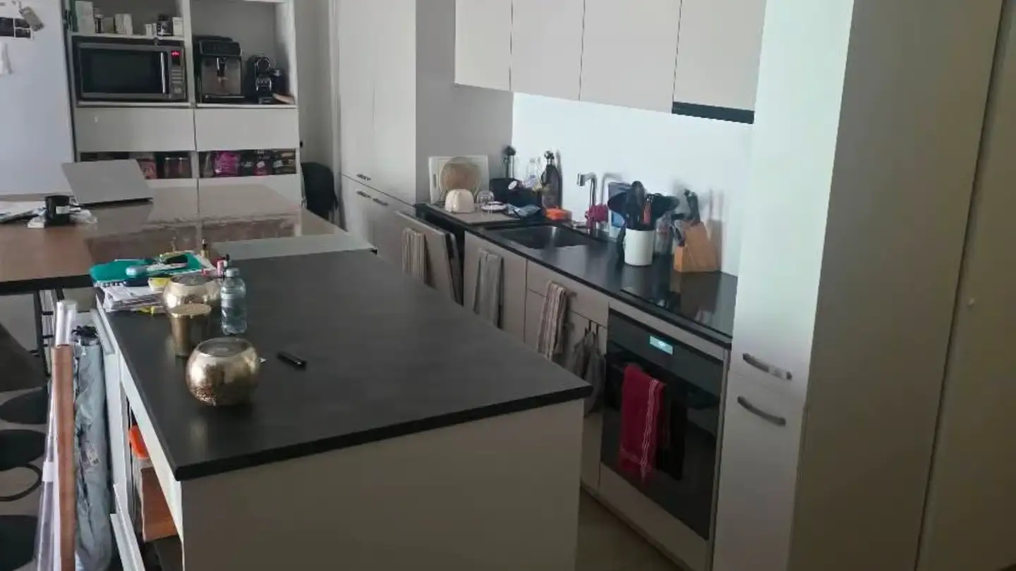 Appartamento in affitto - Rue De La Baumettaz 1a, 1023 Crissier - Foto 4