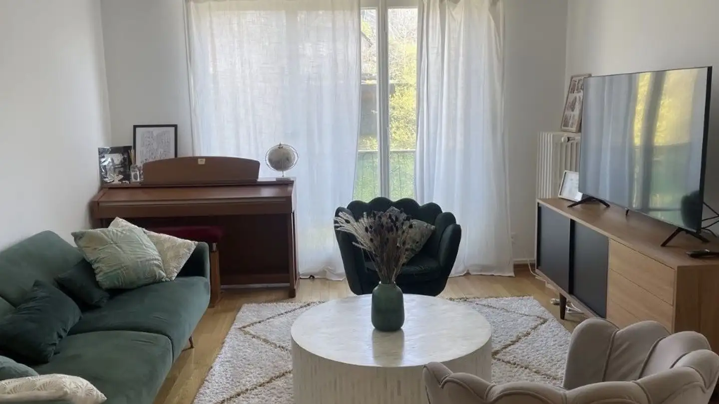 Stanza singola in affitto - Avenue De La Vallonnette 7, 1012 Lausanne