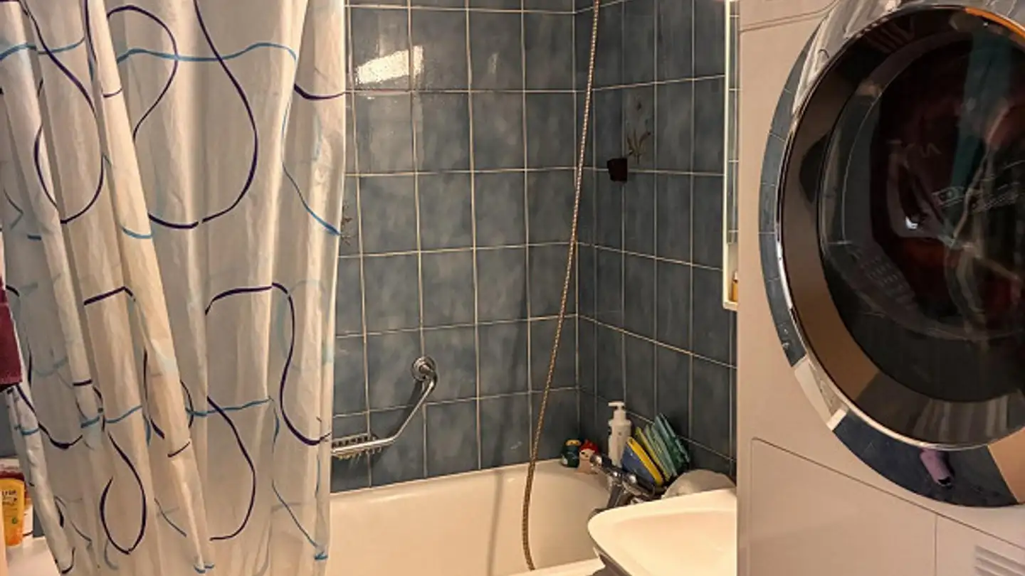 Appartement à louer - Quai Du Cheval-Blanc 19, 1227 Les Acacias - Photo 4