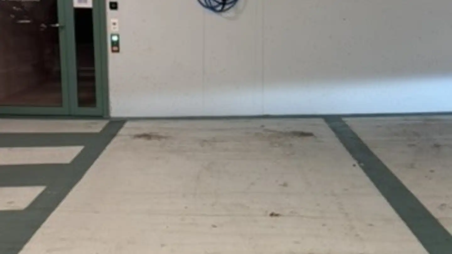 Garage individuel à louer - Wydäckerring 63, 8047 Zürich