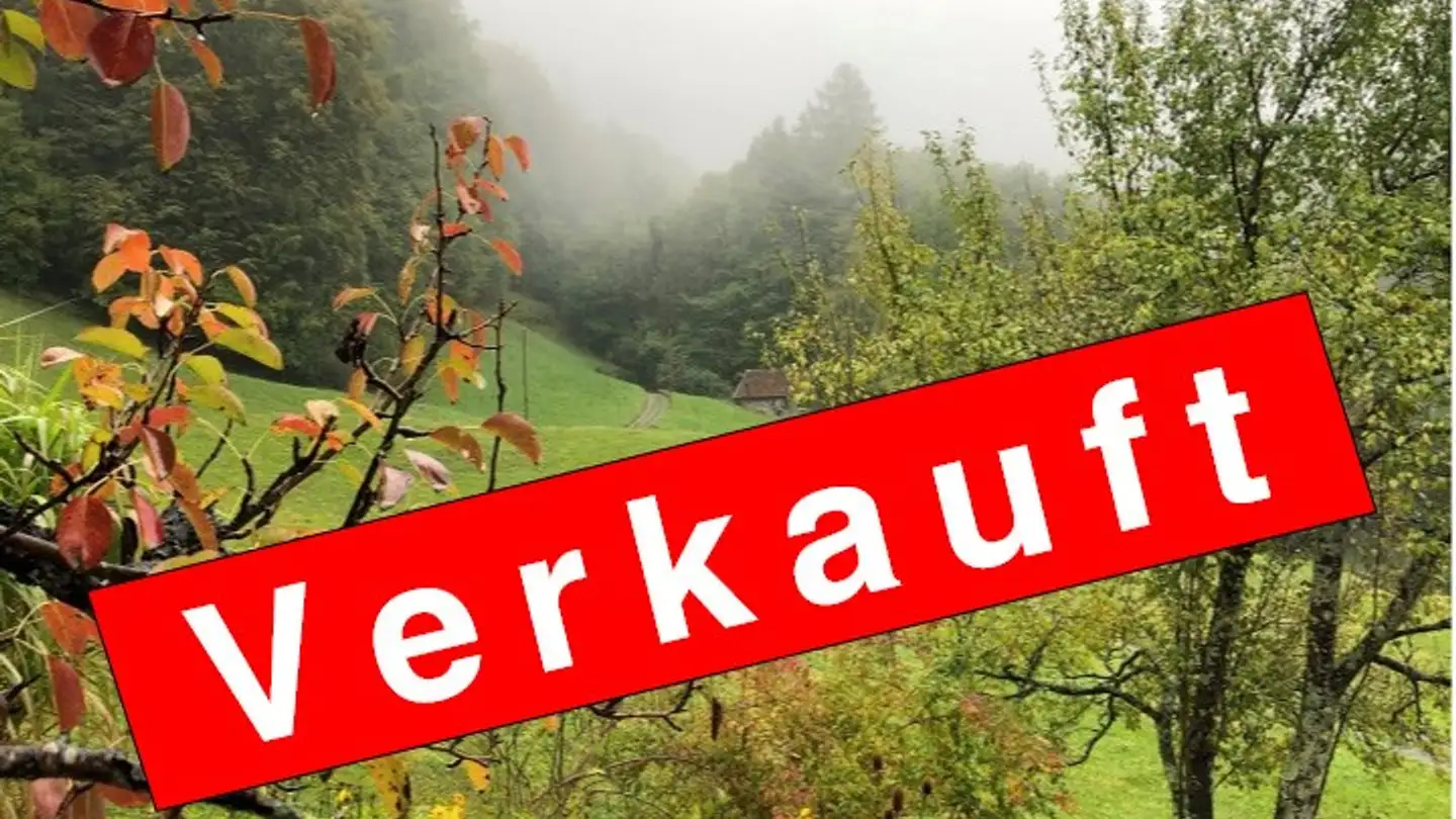 Single house for sale - 3860 Meiringen