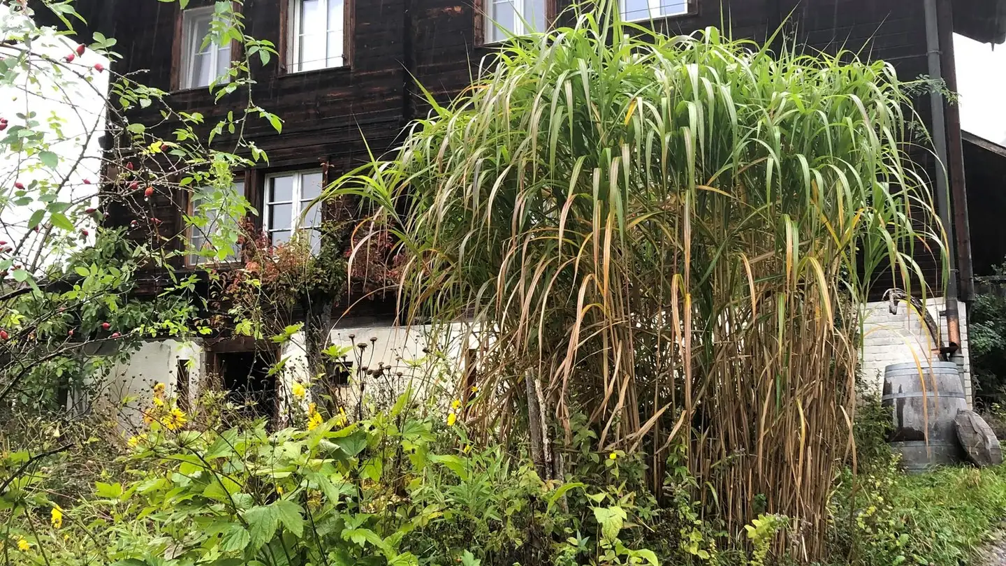 Einfamilienhaus kaufen - 3860 Meiringen - Foto 2