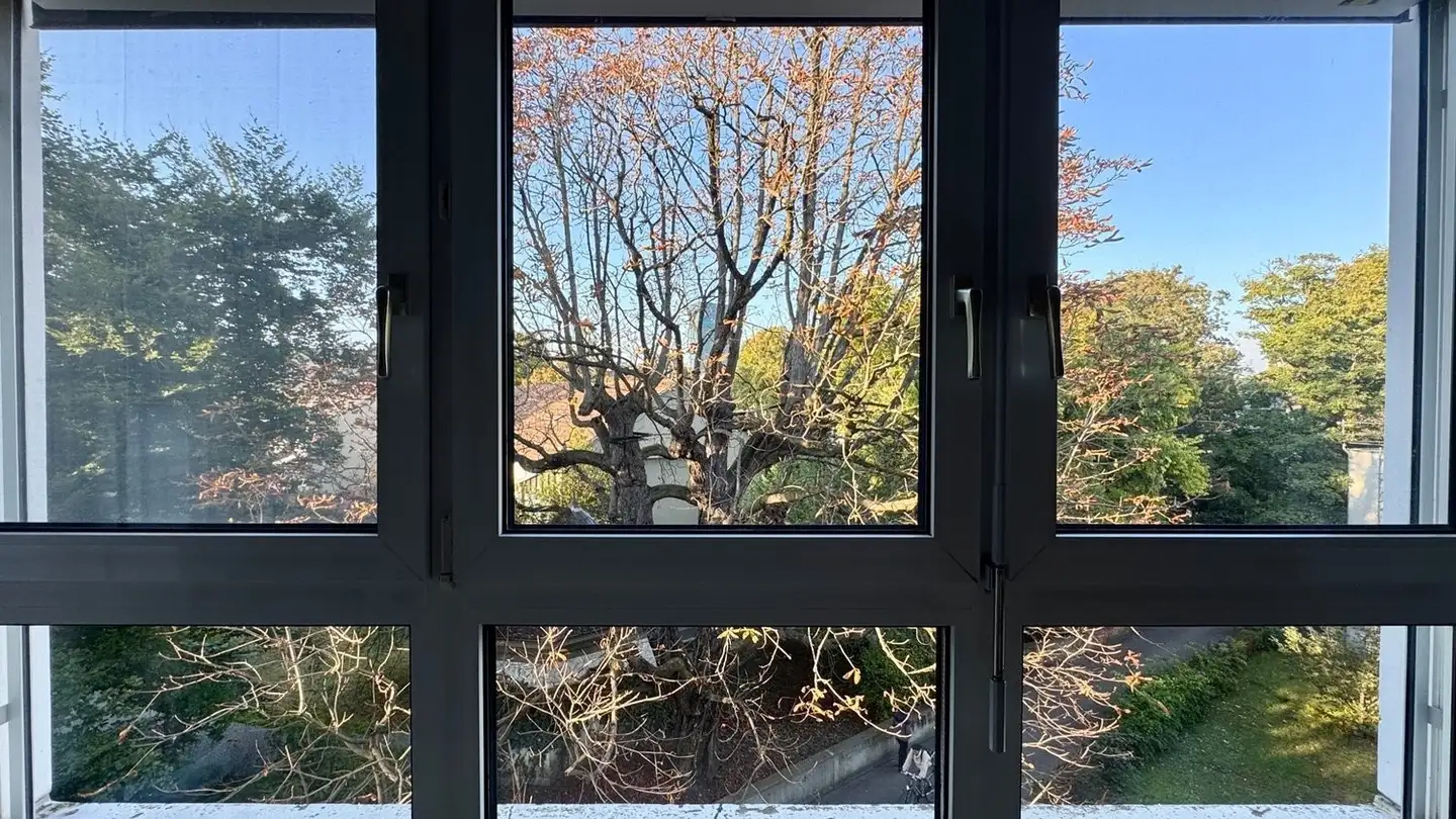 Appartement à louer - Grenzacherstrasse 65, 4058 Basel - Photo 4