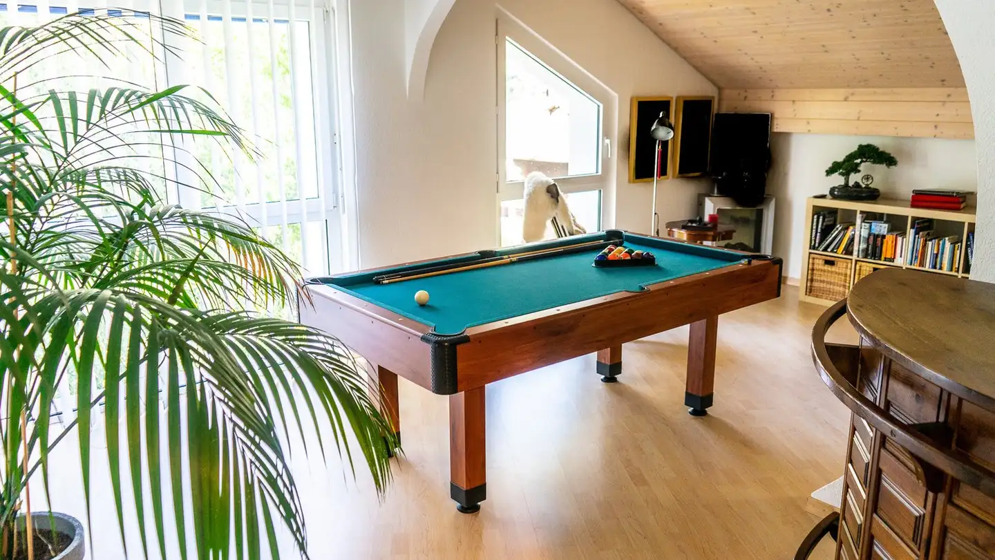 Möblierte Wohnung mieten - 3930 Eyholz