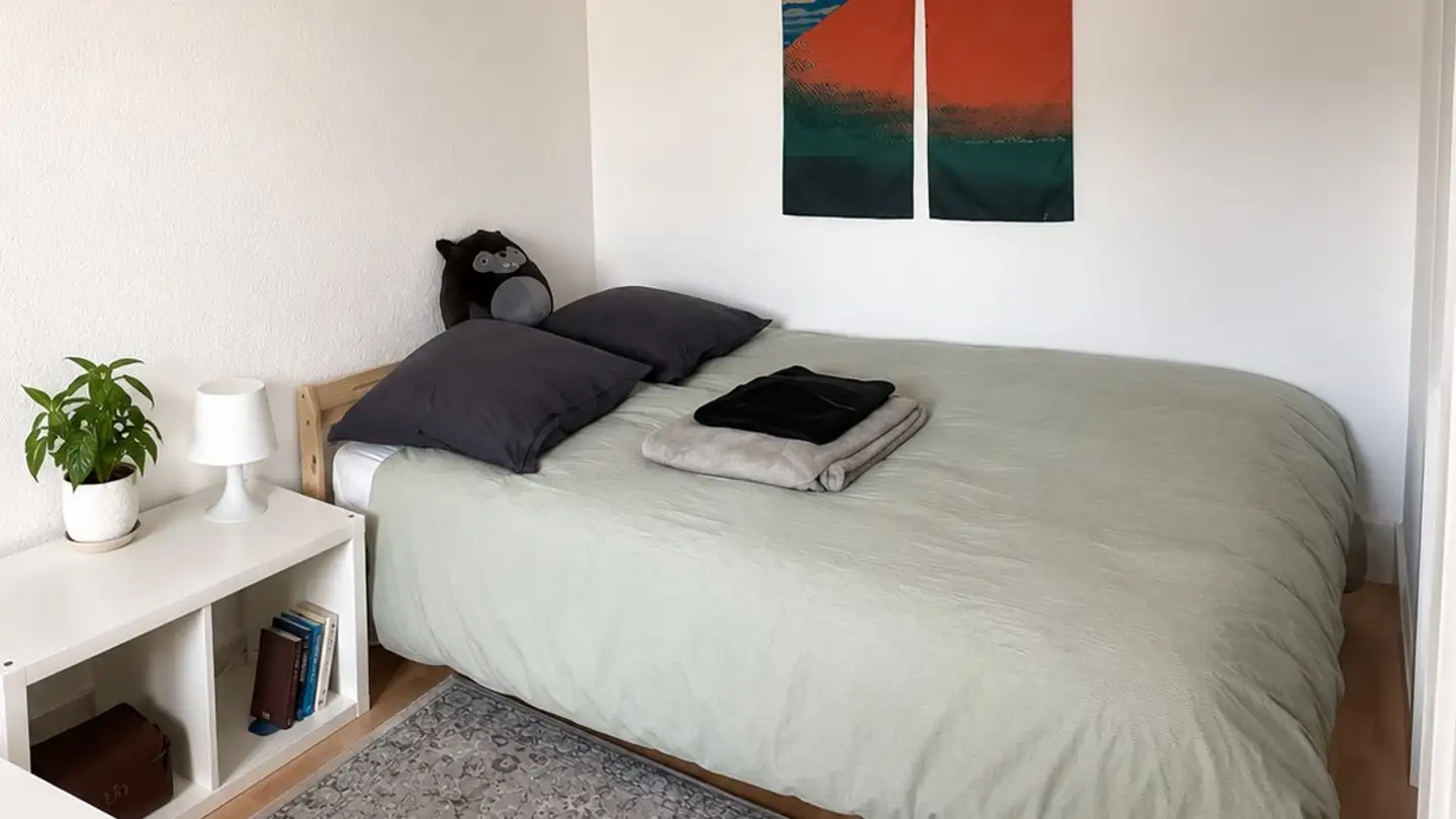 Zimmer mieten - Kasernenstrasse 17, 8004 Zürich
