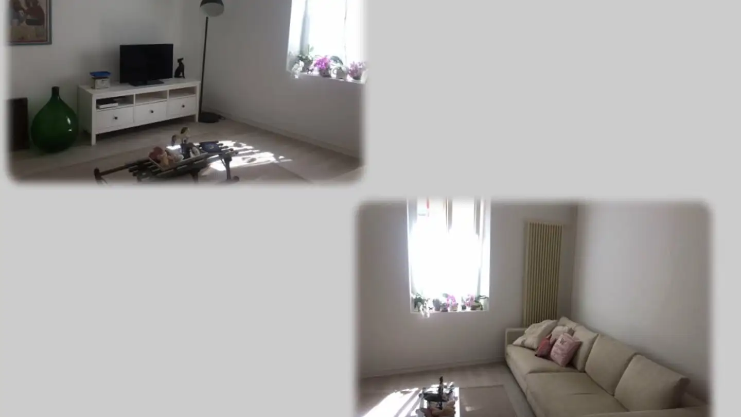 Appartamento in affitto - Beride 46, 6981 Biogno-Beride - Photo 2