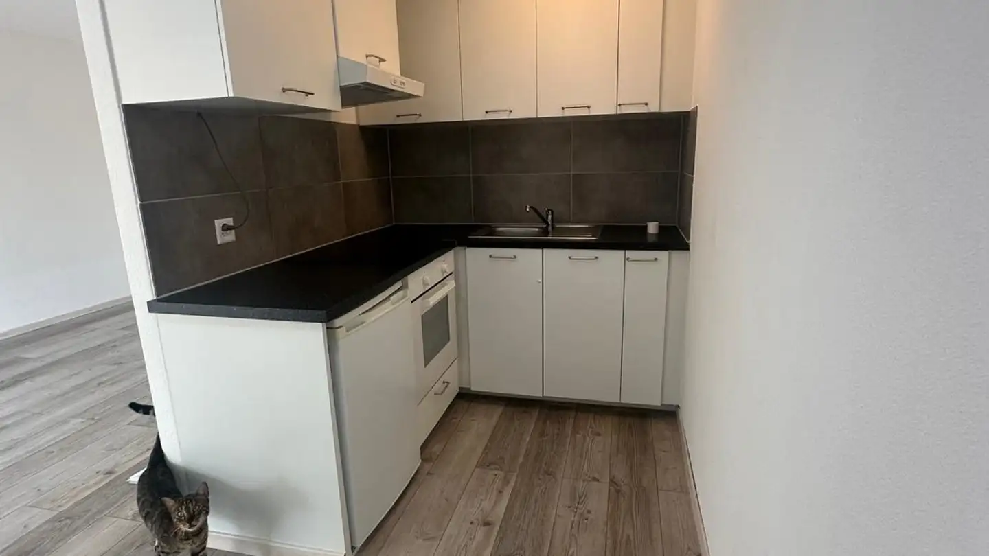 Wohnung mieten - Aarmattweg 7, 5000 Aarau - Foto 4