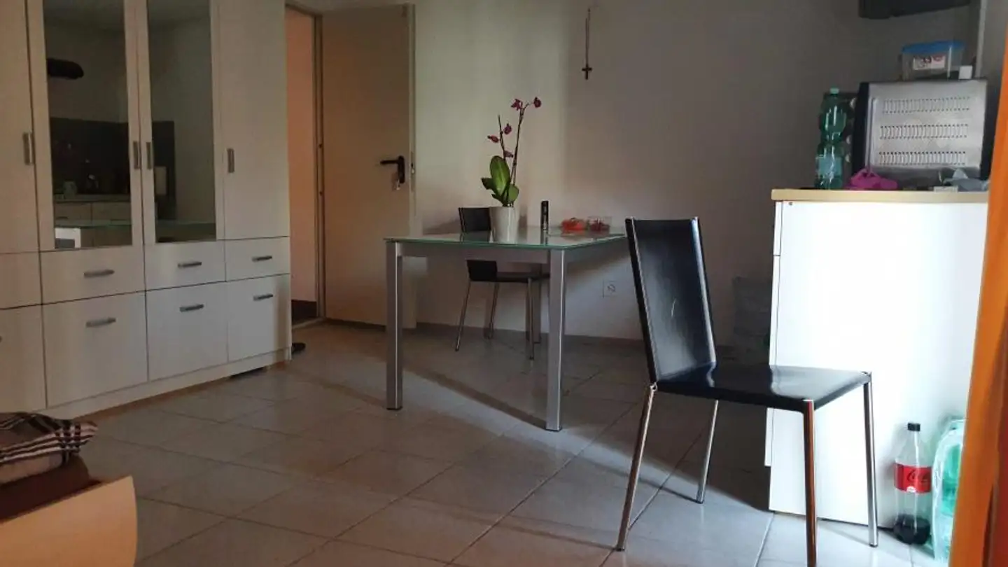 Studio for rent - Seestrasse 117, 8266 Steckborn - Photo 4