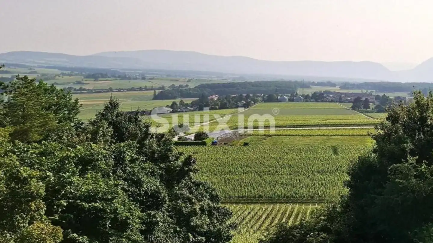 Single house for sale - 1204 Genève