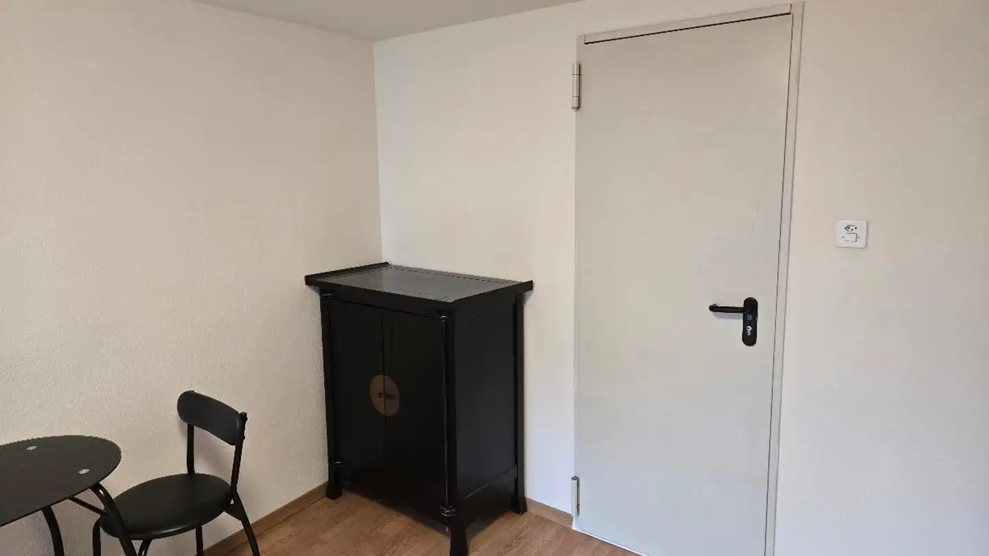 Studio for rent - Seestrasse 117, 8266 Steckborn - Photo 4
