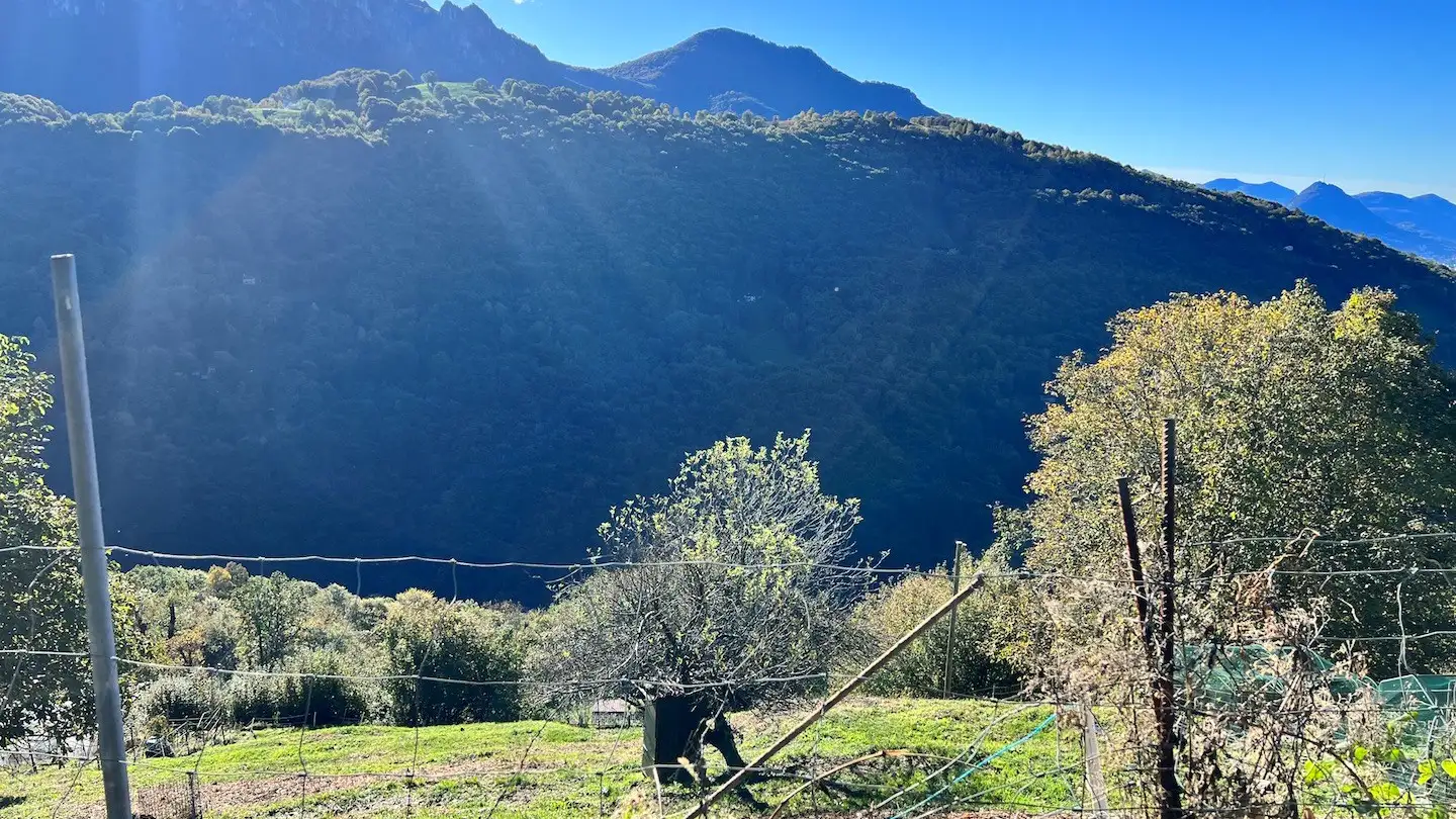 Terreno edificabile in vendita - Bidogno, 6958 Corticiasca - Photo 2