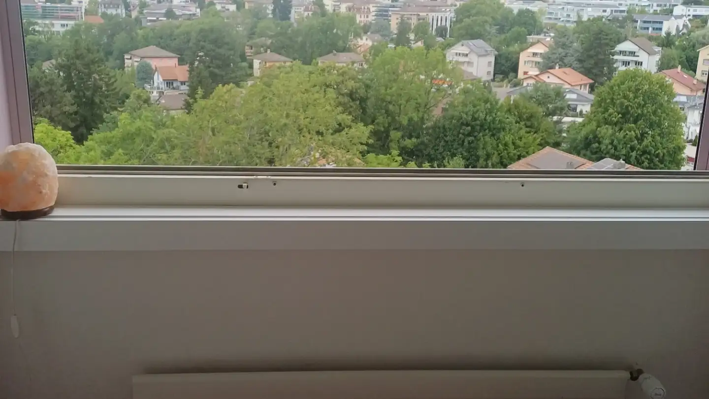 Single room for rent - Chemin Du Devin, 1012 Lausanne - Photo 2