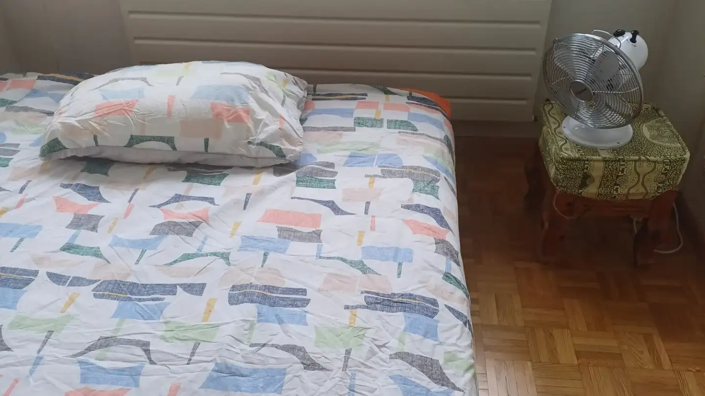 Single room for rent - Chemin Du Devin, 1012 Lausanne - Photo 3