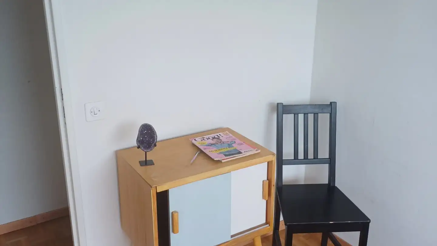 Single room for rent - Chemin Du Devin, 1012 Lausanne - Photo 4