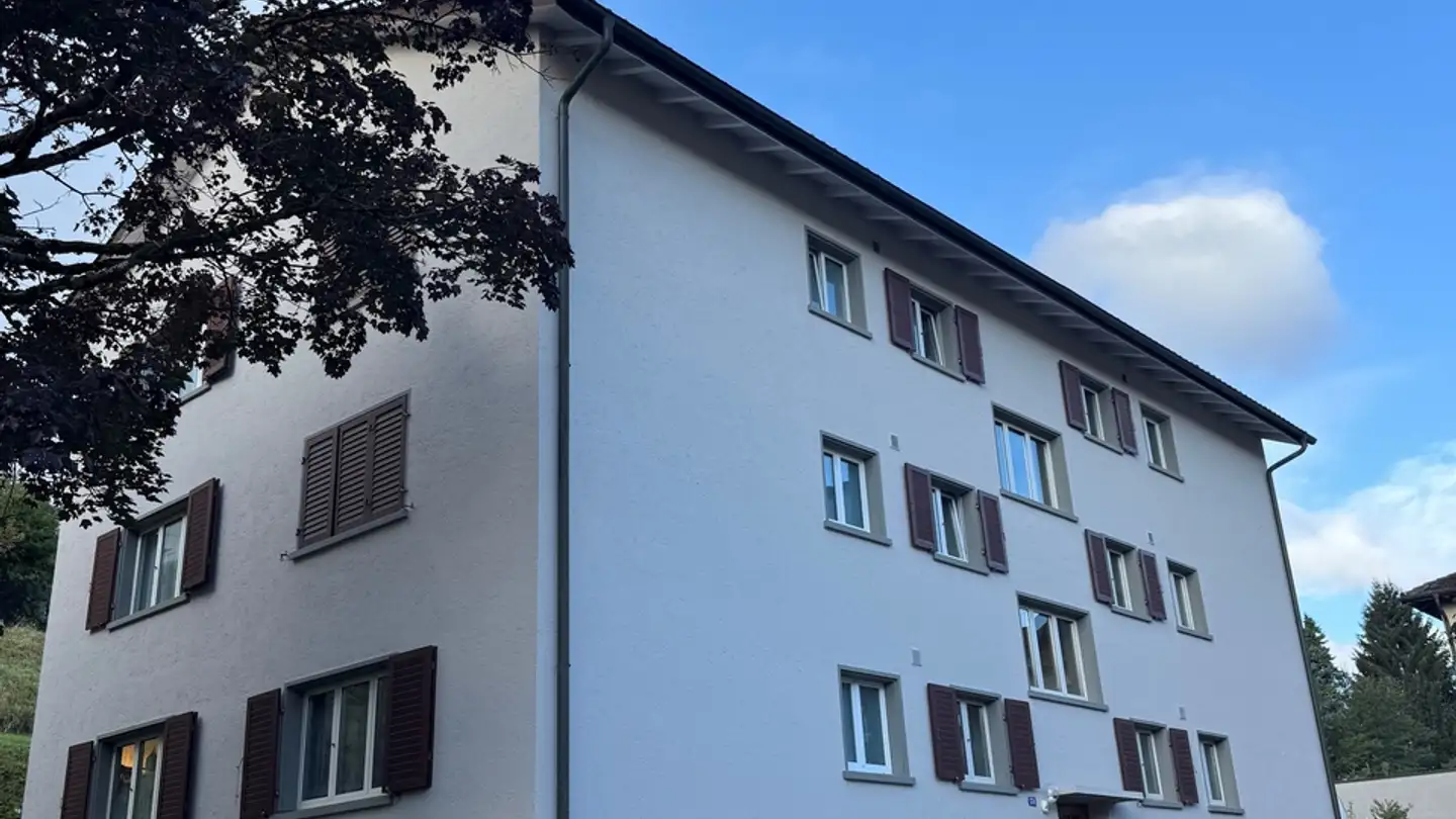 Appartamento in affitto - Zürcherstrasse, 8952 Schlieren