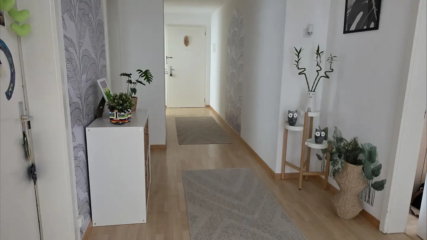 Appartement à louer - Buchfeldstrasse, 6033 Buchrain