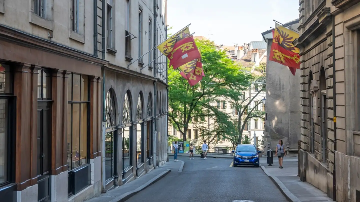 Gewerbe mieten - 1205 Genève