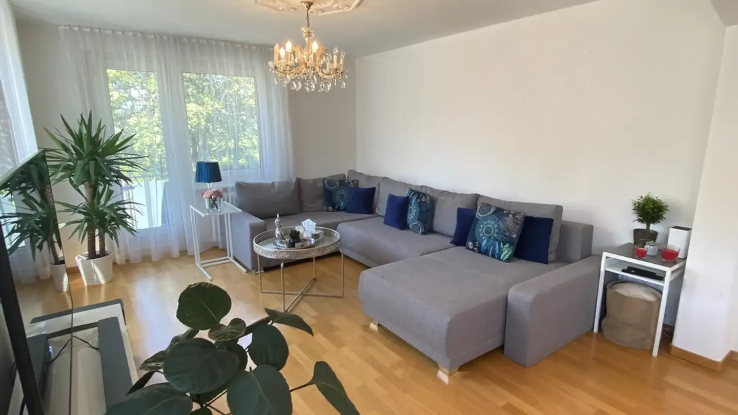Apartment for rent - Wallisellenstrasse 241, 8050 Zürich