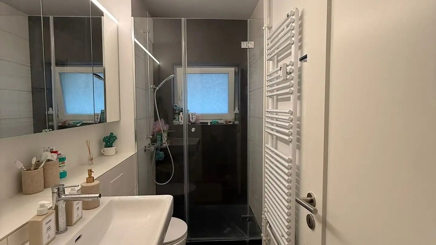 Chambre à louer - Muttenzerstrasse, 4133 Pratteln - Photo 2