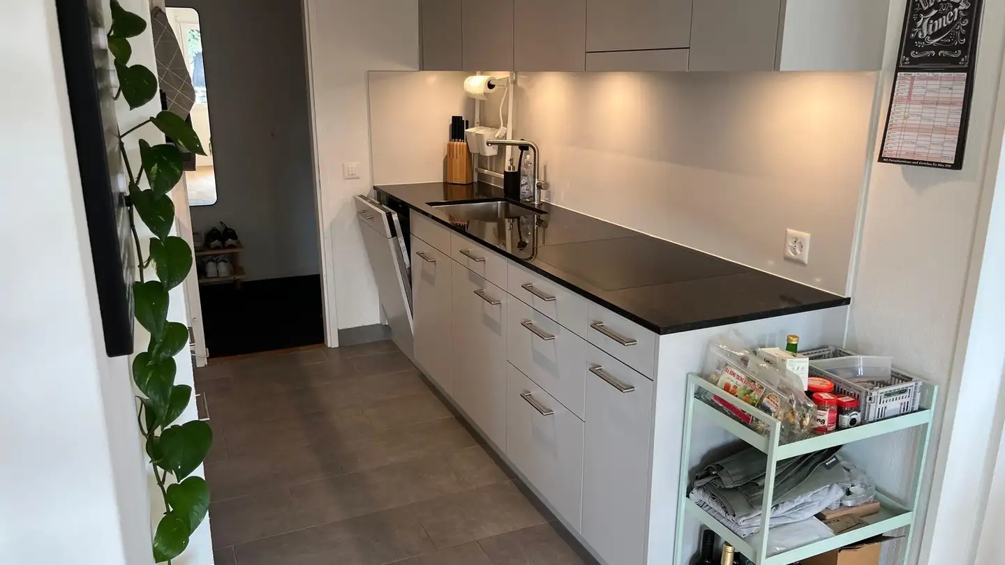 Chambre à louer - 8048 Zürich - Photo 4