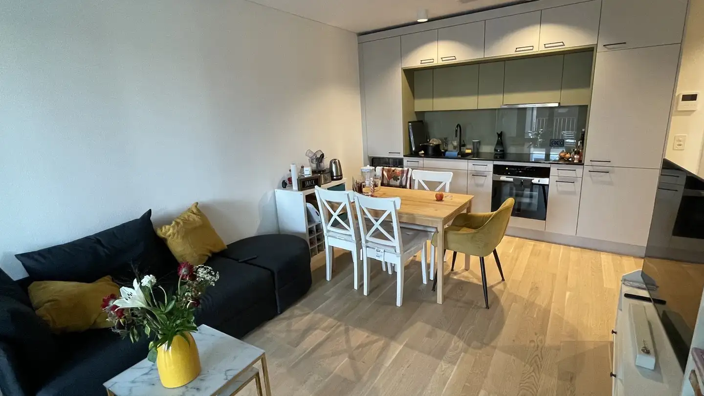 Apartment for rent - 8134 Adliswil