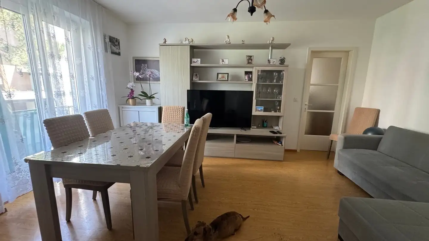 Wohnung mieten - Via Guggirolo 2, 6962 Viganello - Foto 2