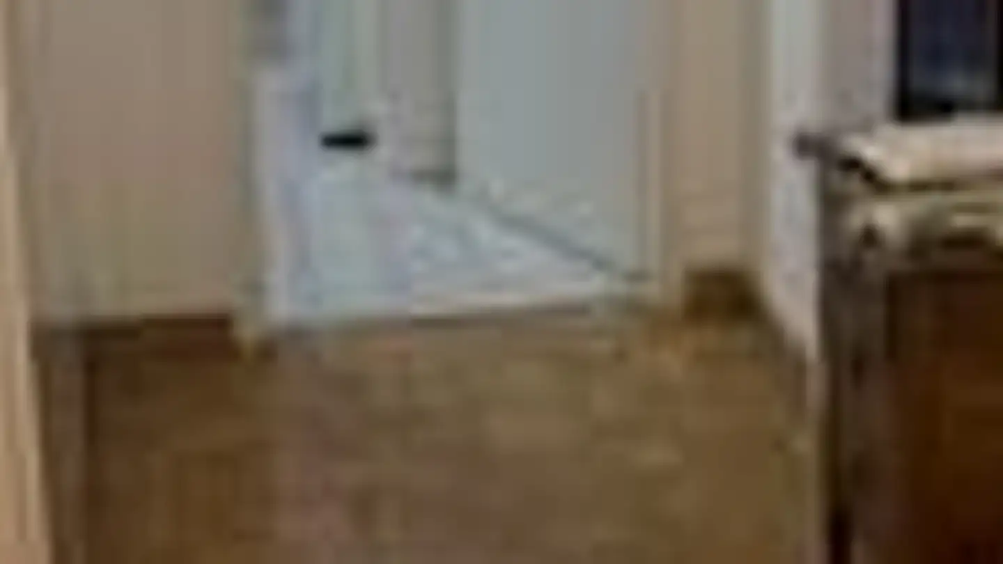 Attique à louer - Route De Mon-Idée 1, 1226 Thônex