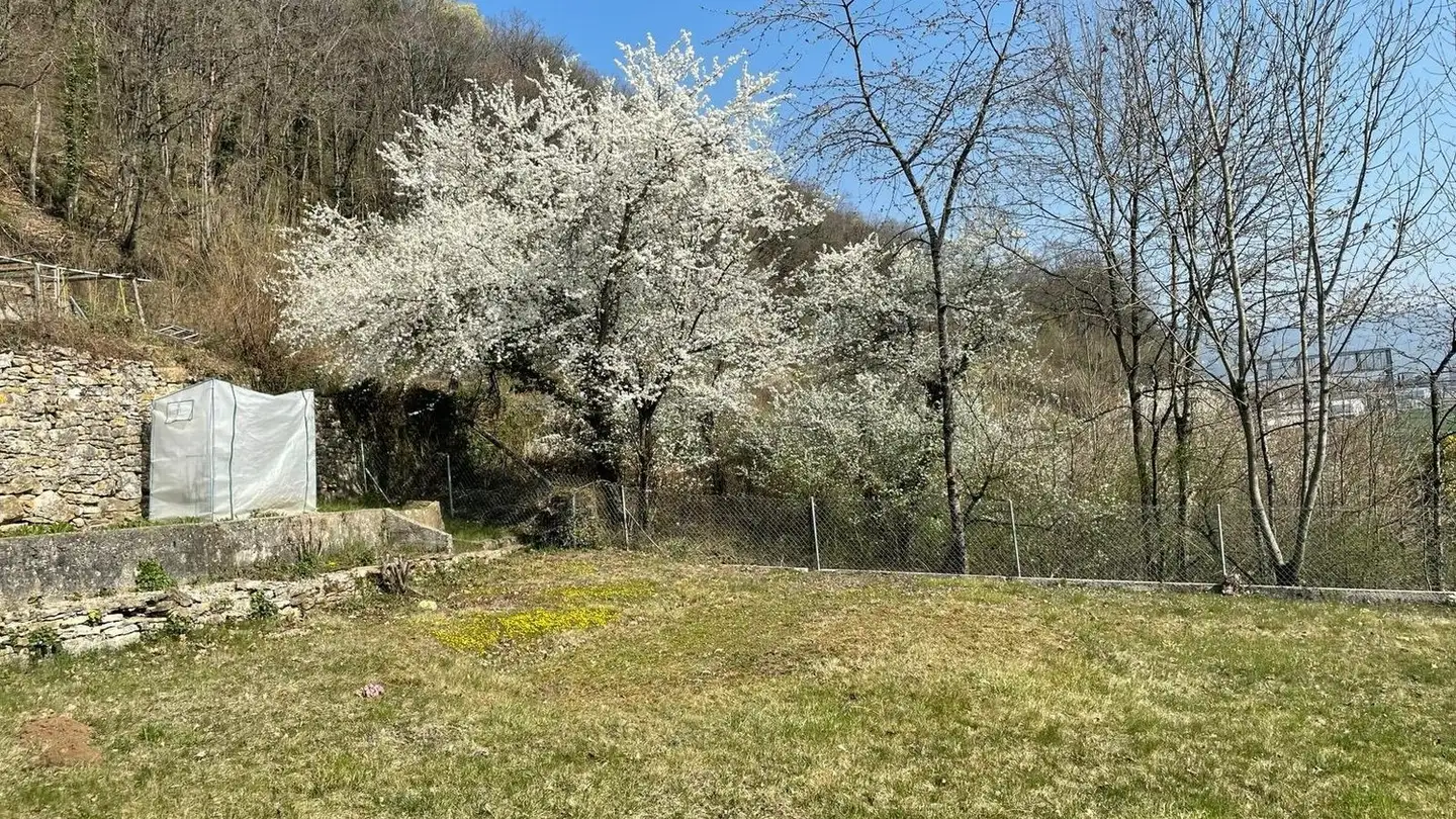 Casa singola in affitto - 2087 Cornaux NE - Foto 2