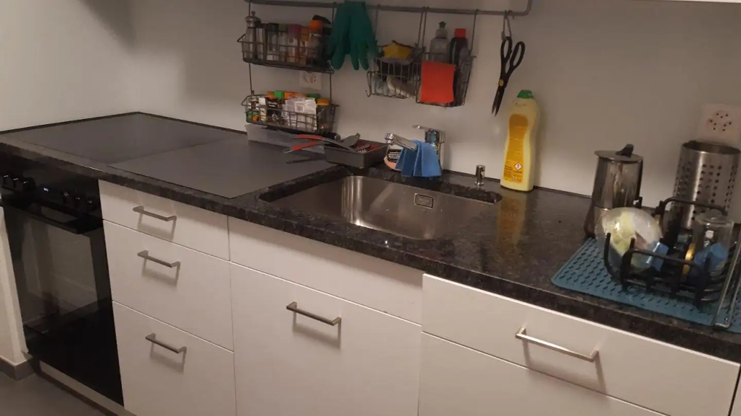 Furnished apartment for rent - 8049 Zürich - Photo 2