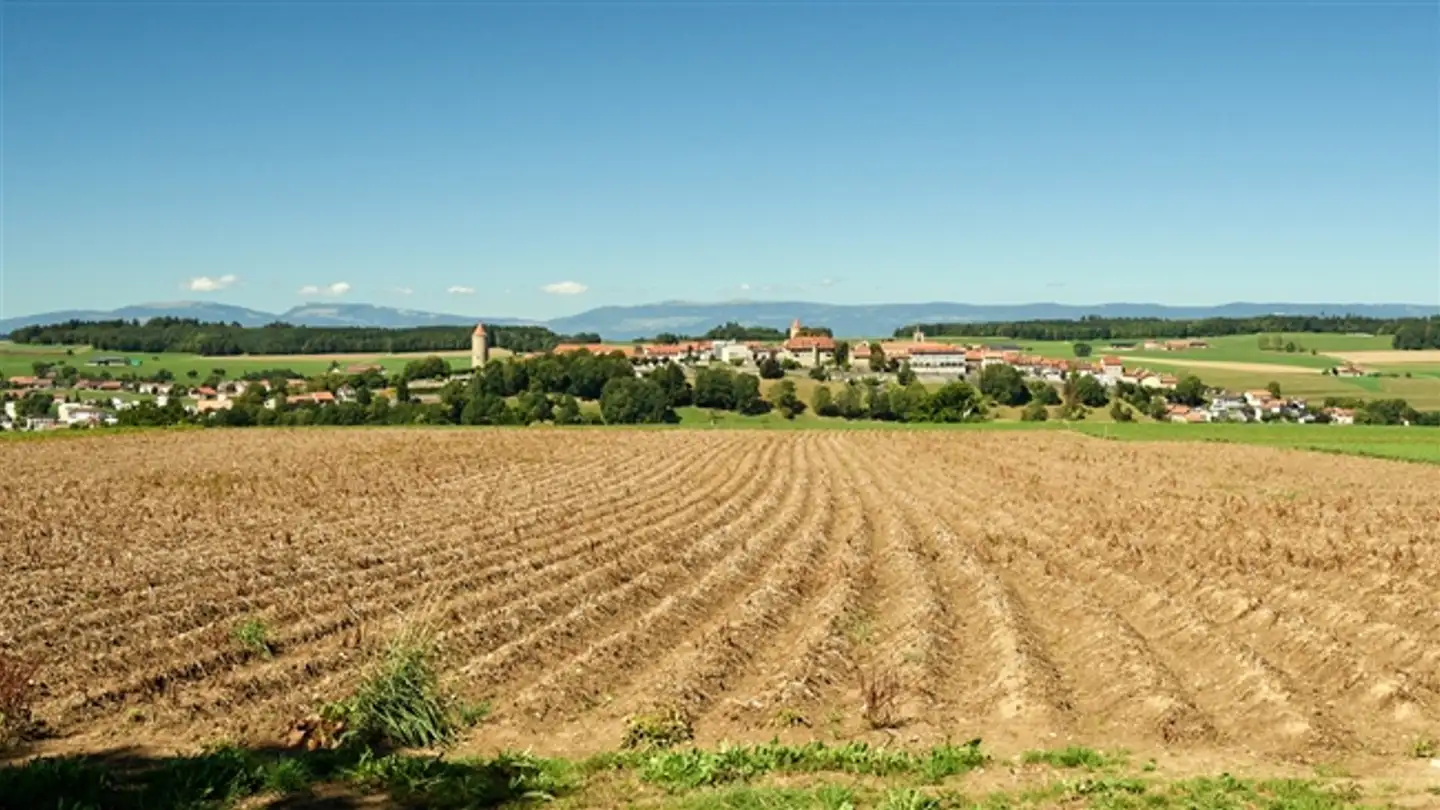 Fattoria in vendita - Chemin Des Planches 14, 1684 Mézières FR