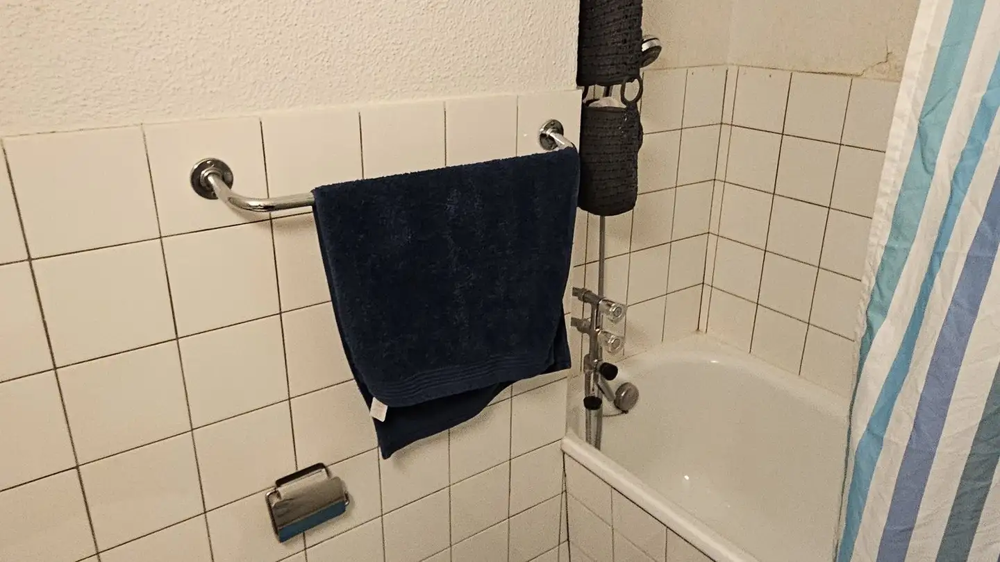 Furnished apartment for rent - 8048 Zürich - Photo 4