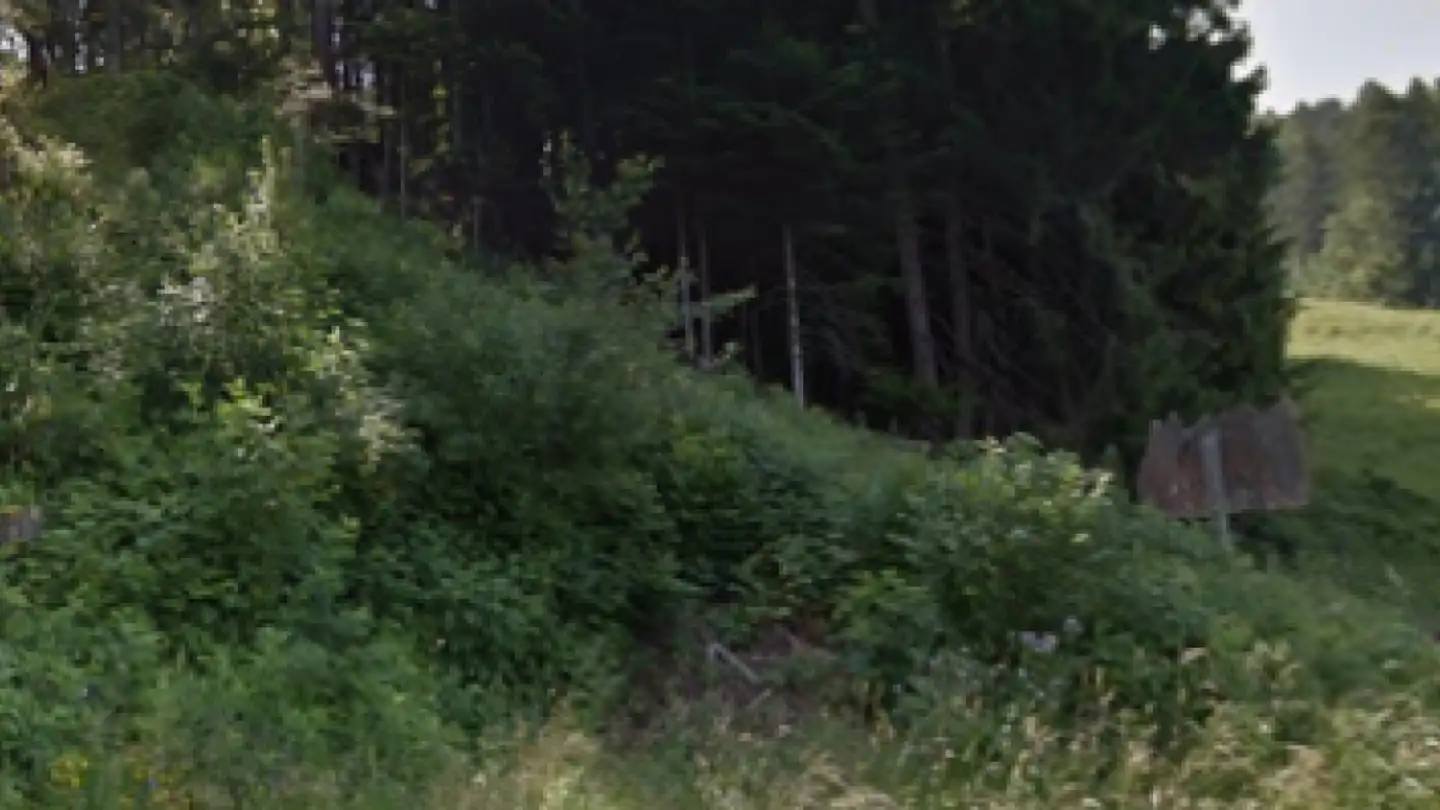 Constructible plot for sale - 1619 Les Paccots