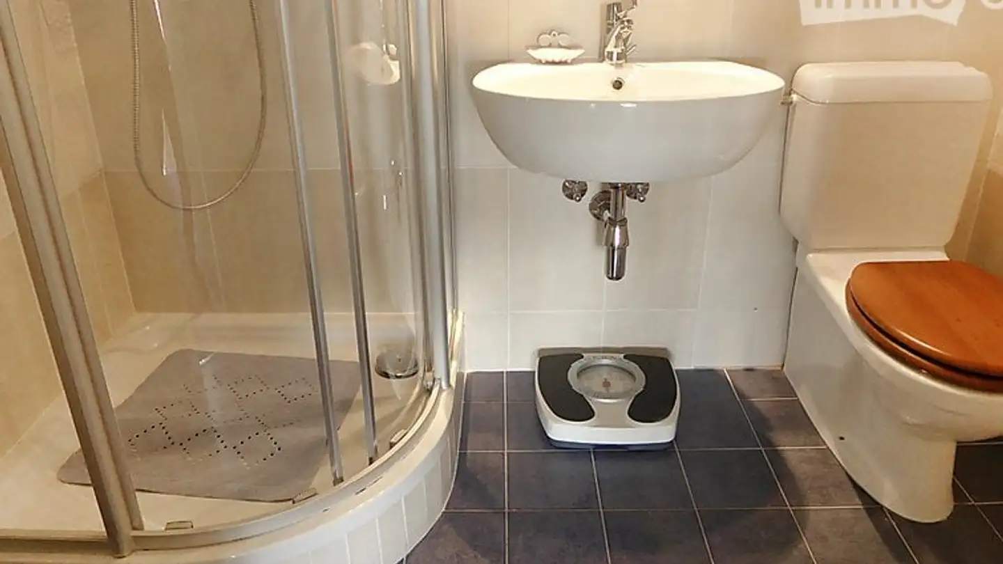 Apartment for rent - Route De Florissant 86c, 1206 Genève - Photo 4