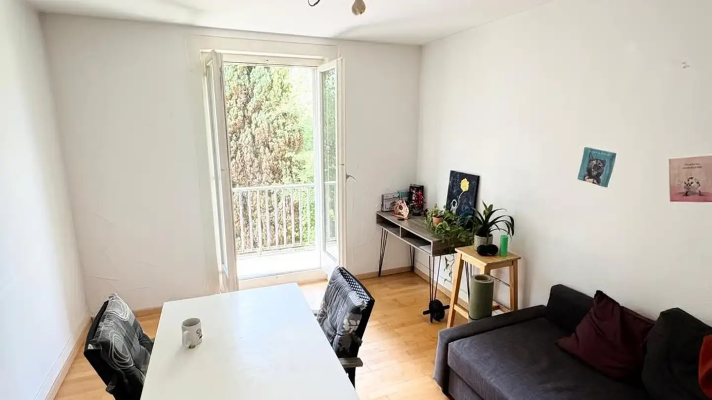 Appartement meublé à louer - Schaffhauserstrasse 89, 8400 Winterthur - Photo 4