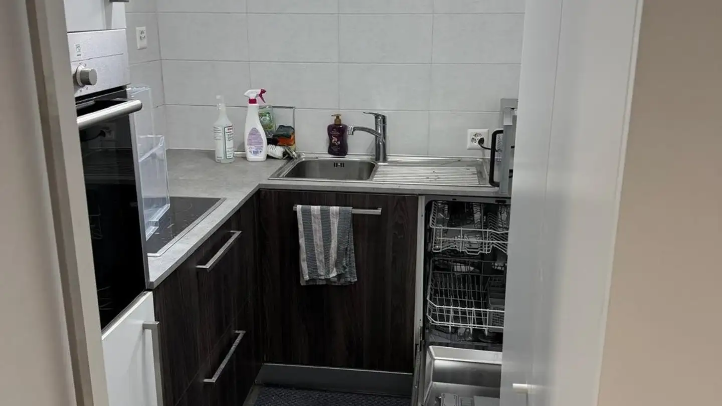 Apartment for rent - 6983 Magliaso - Photo 3