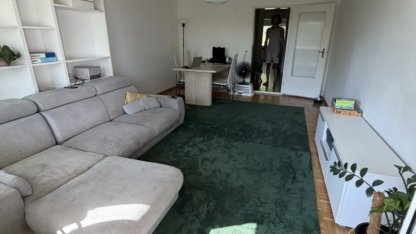 Appartement à louer - Limmattalstrasse 358, 8049 Zürich