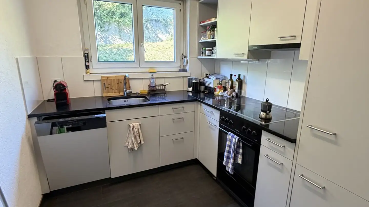 Appartement à louer - Limmattalstrasse 358, 8049 Zürich - Photo 4