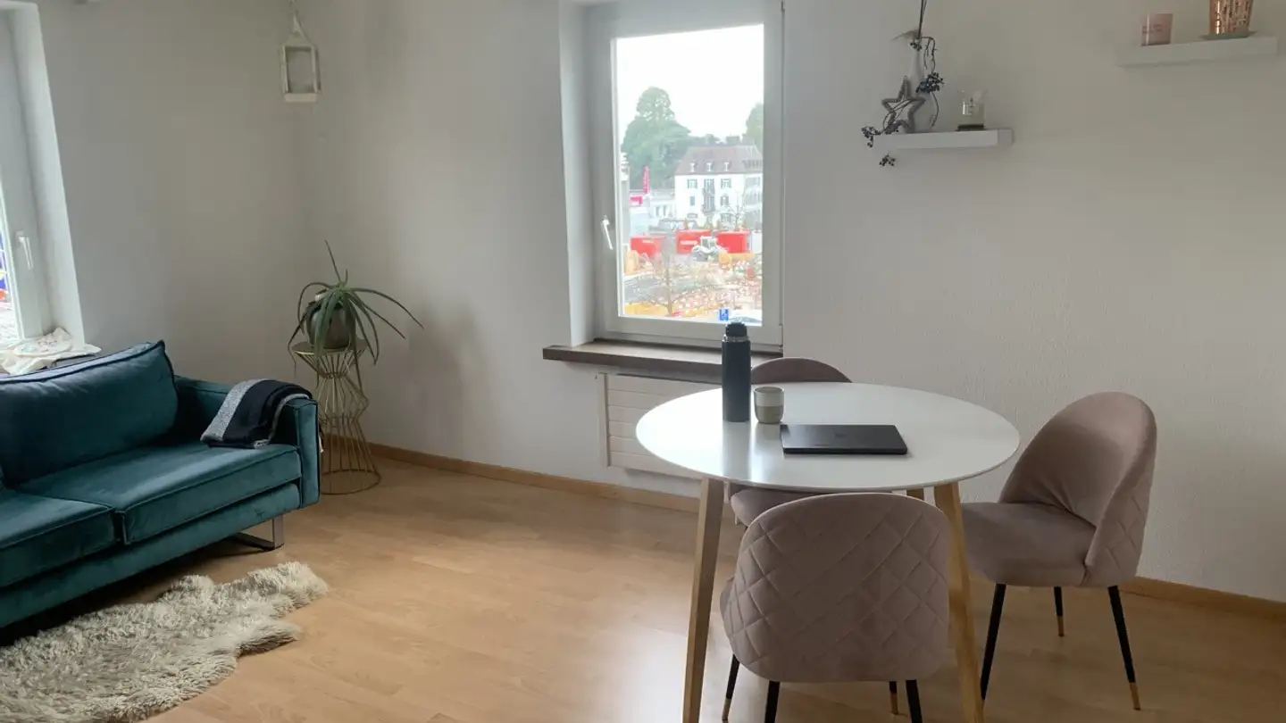 Appartamento in affitto - 8820 Wädenswil