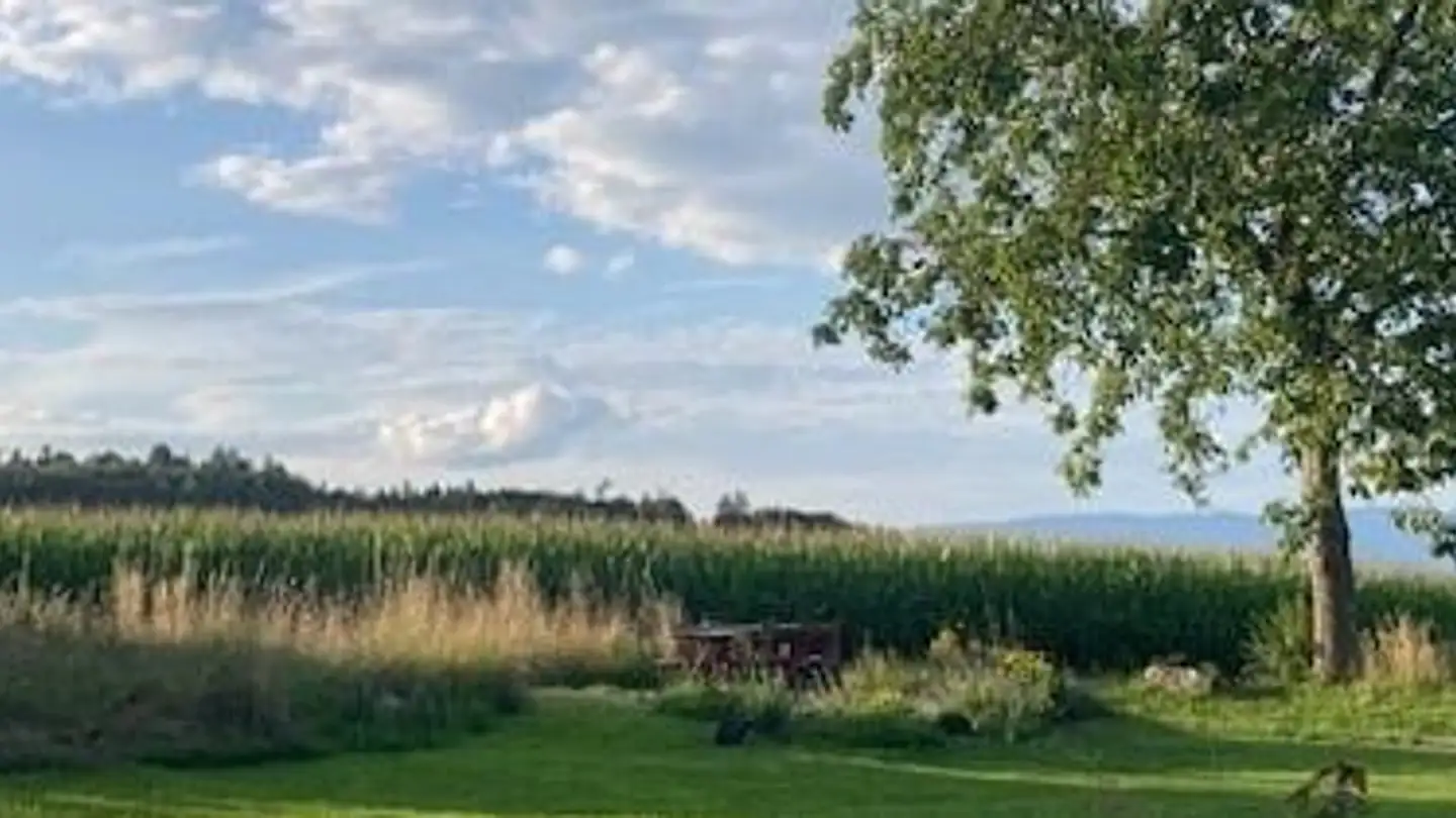 Duplex for rent - Winterswil 237, 3054 Schüpfen - Photo 2