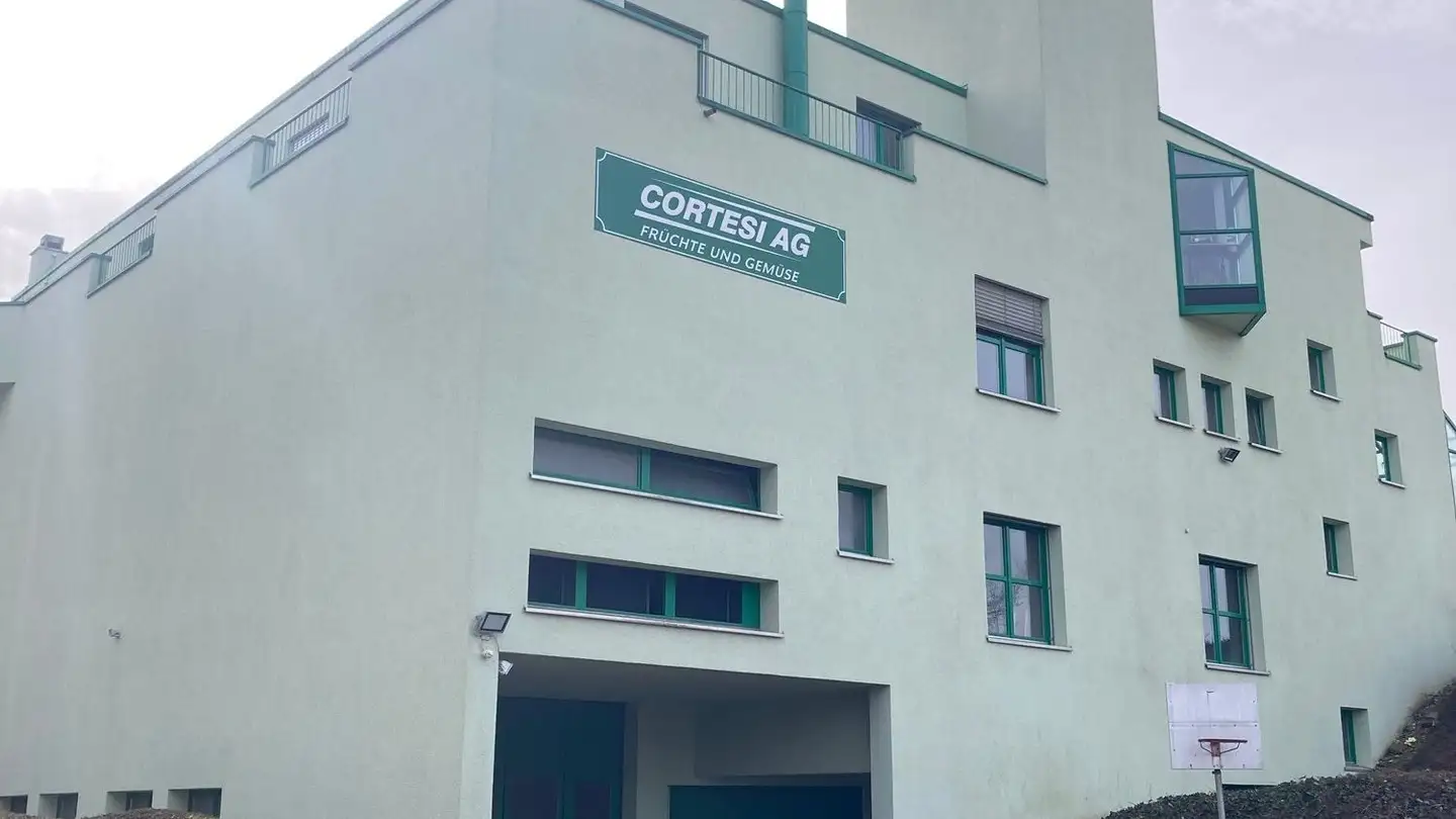 Edificio ad uso misto in vendita - Schneckenackerstrasse 8, 8200 Schaffhausen - Foto 4