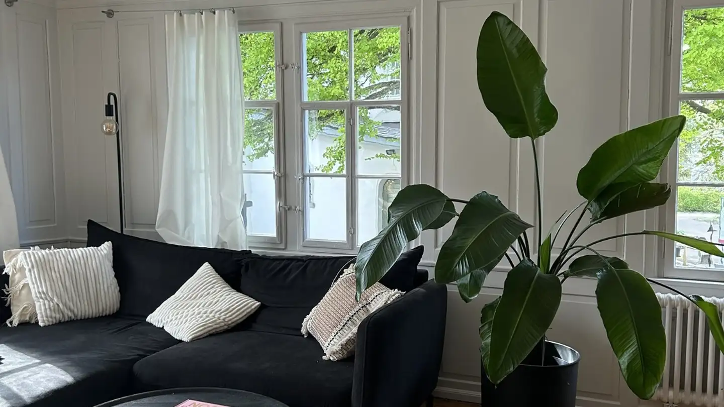 Appartement à louer - Magnihalden, 9000 St. Gallen - Photo 2