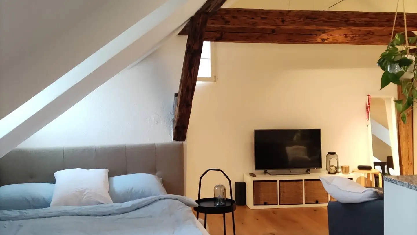 Furnished apartment for rent - St. Niklausstiege, 5400 Baden - Photo 4