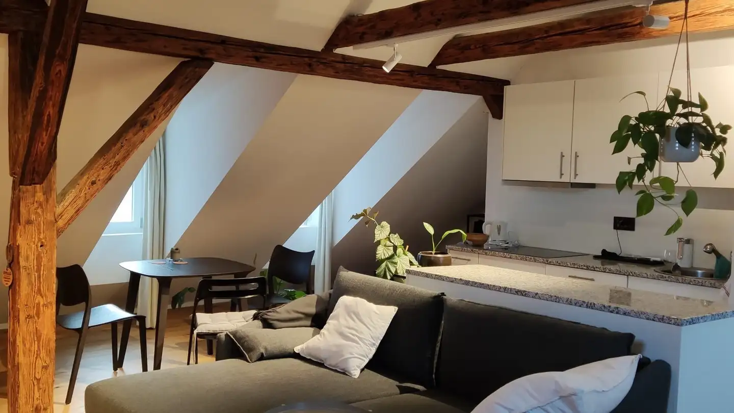 Furnished apartment for rent - St. Niklausstiege, 5400 Baden