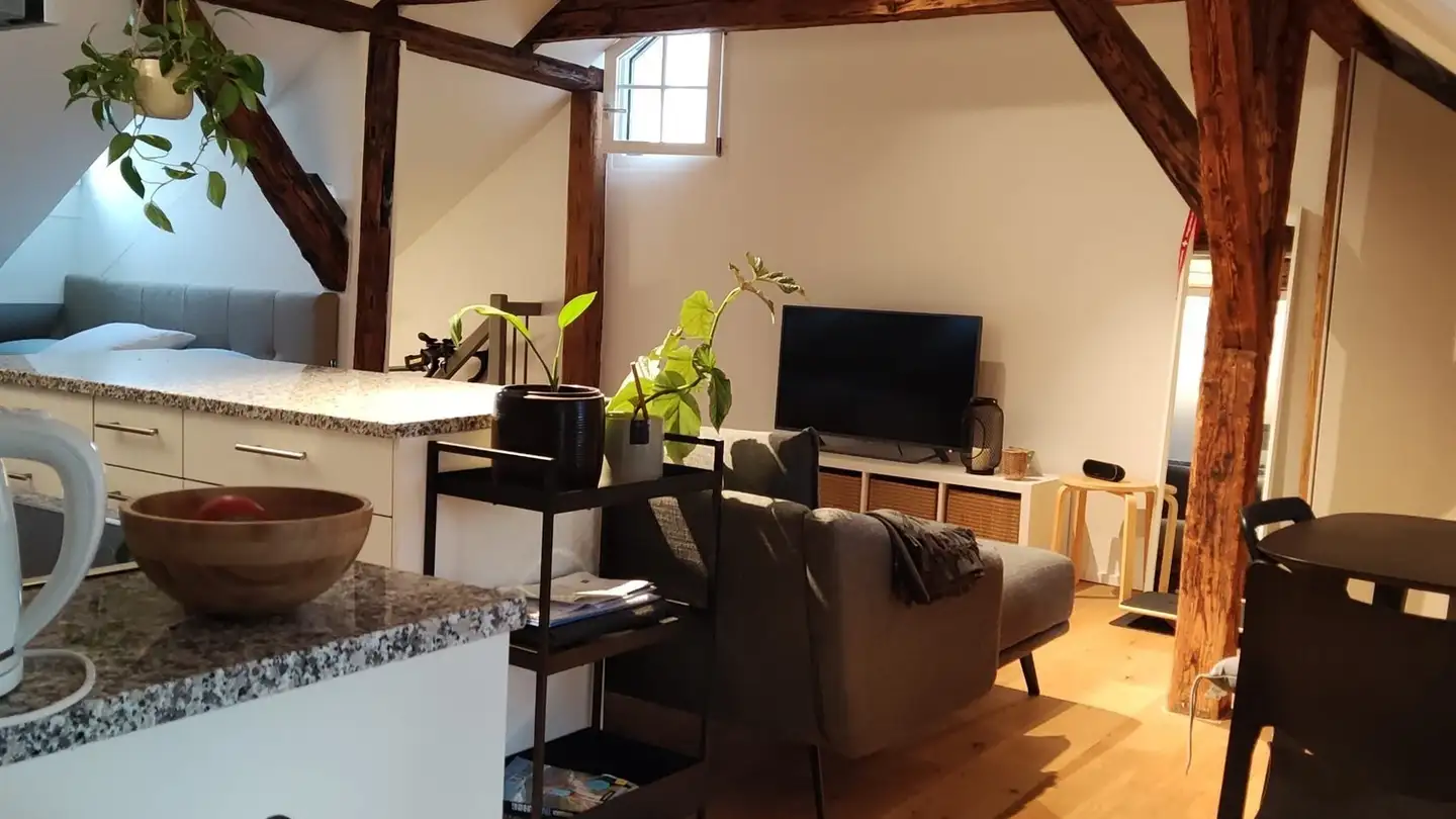 Furnished apartment for rent - St. Niklausstiege, 5400 Baden - Photo 2